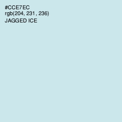 #CCE7EC - Jagged Ice Color Image